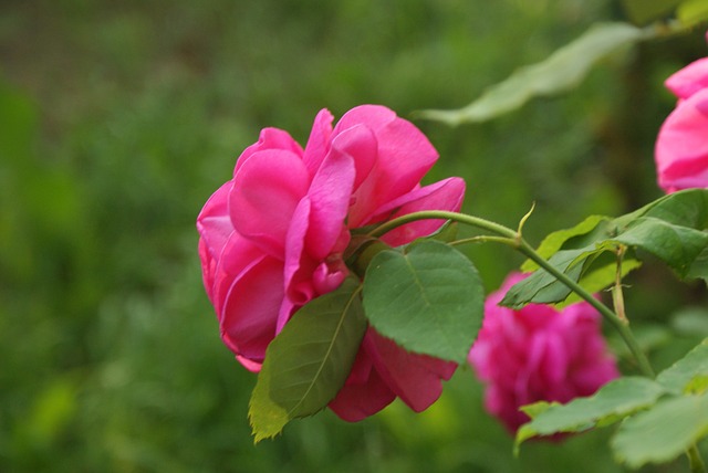 [Mini Parfüm Setleri]: En İyi 10 Marka Önerisi Nedir?