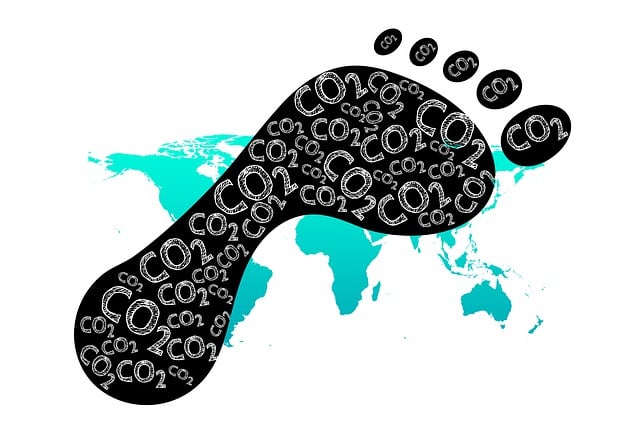[Modern Koku Trendleri] 2024: Neler Öne Çıkıyor?